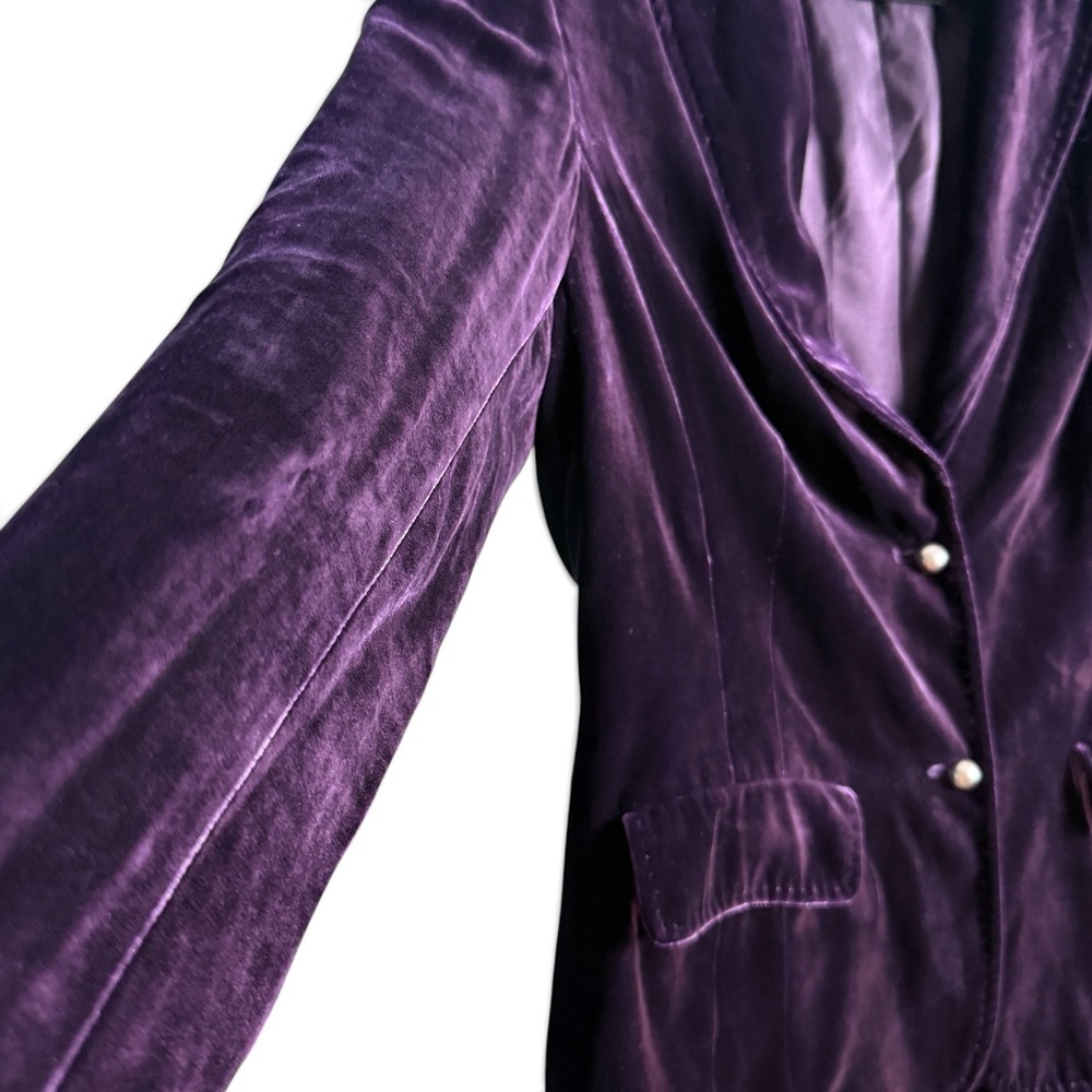 Y2K Silk Blend Velvet Blazer Plum Romantic Boho Luxury Goth Two Button Size 12 - Picture 5 of 8